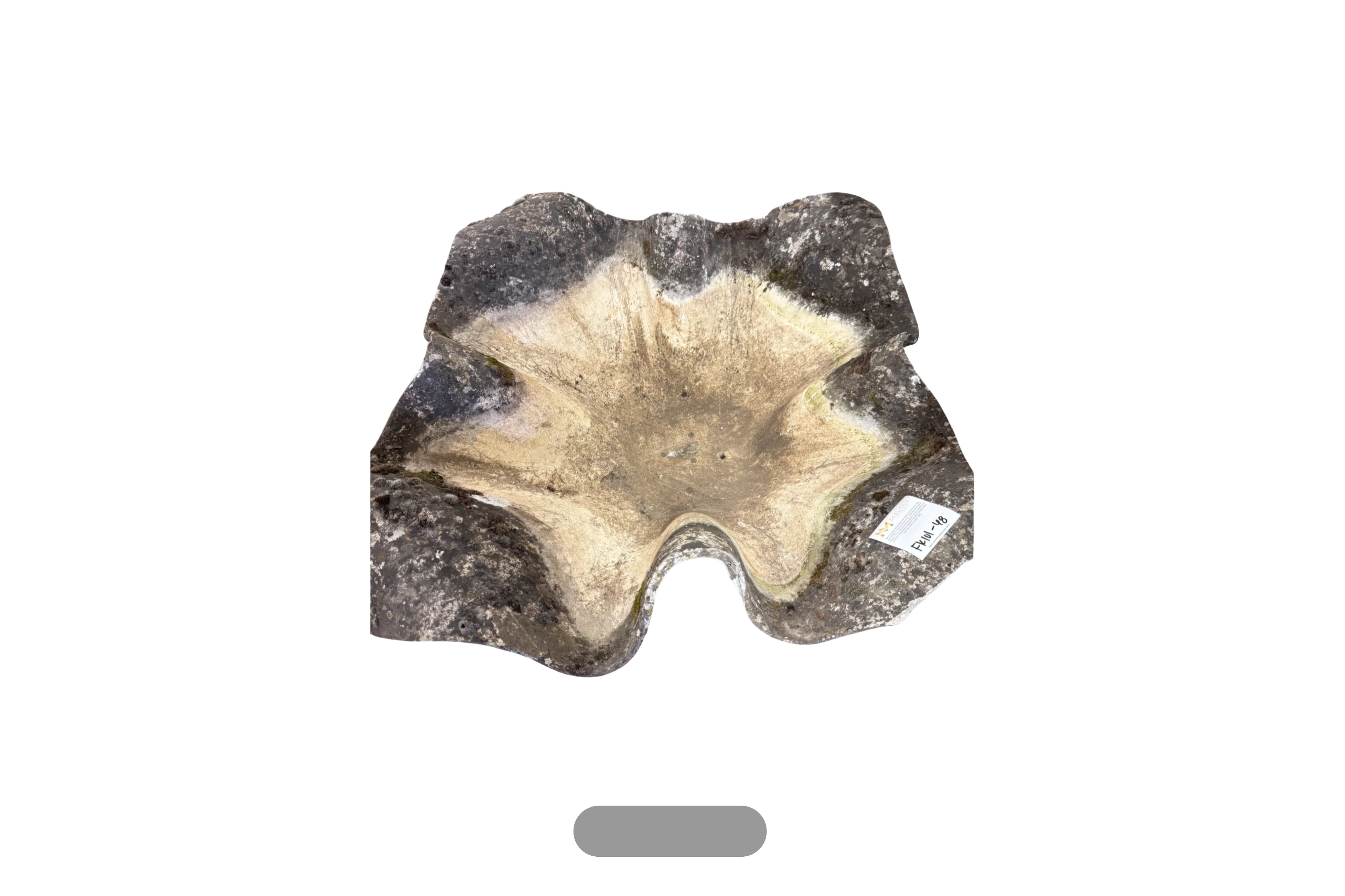 Willy Guhl Elephant Ear Planter - Image 2